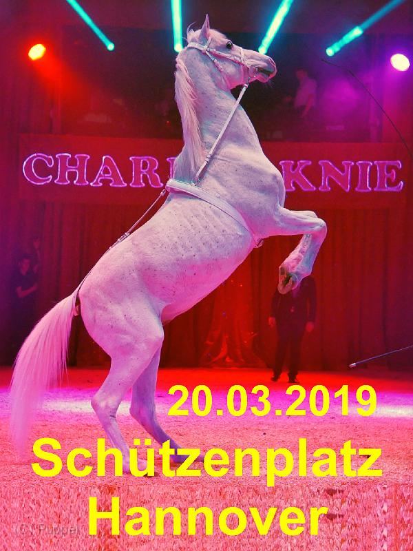 2019/20190320 Schuetzenplatz Zirkus Charles Knie/index.html